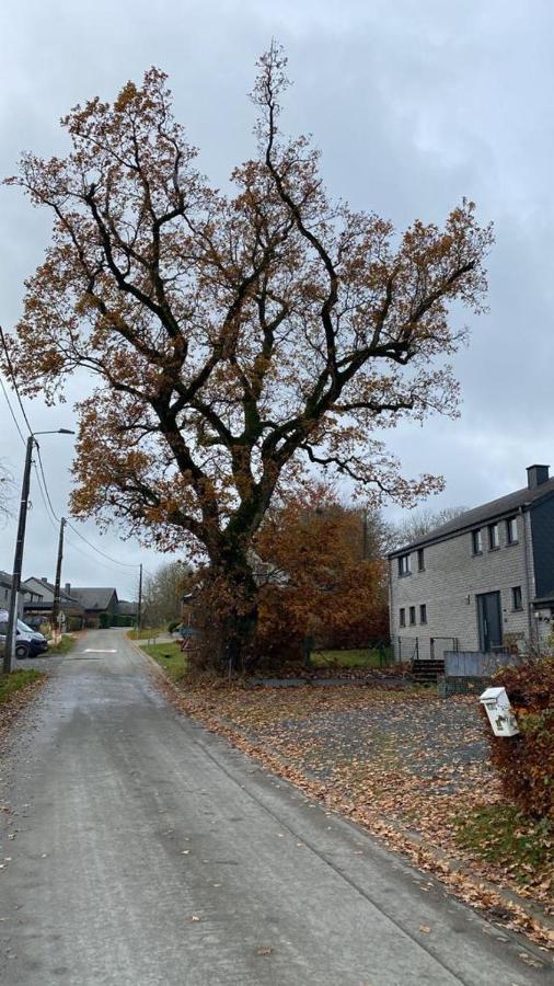 Le Gite Du Vieux Chene Bertogne ภายนอก รูปภาพ